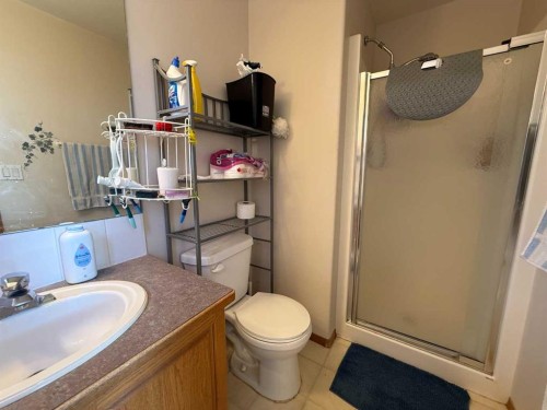 5905 61 Ave, Ponoka, AB - Indoor Photo Showing Bathroom