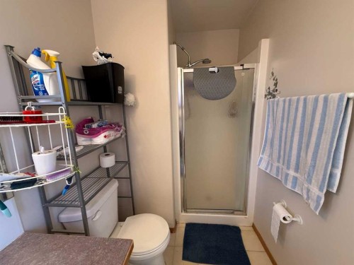 5905 61 Ave, Ponoka, AB - Indoor Photo Showing Bathroom