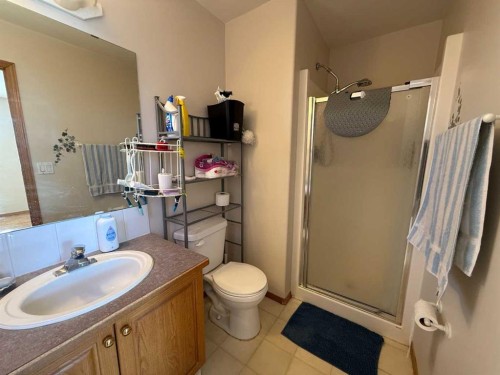 5905 61 Ave, Ponoka, AB - Indoor Photo Showing Bathroom
