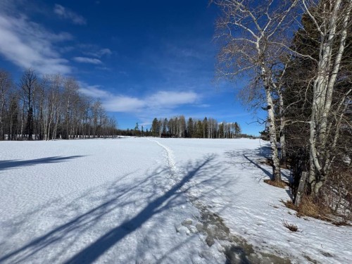 414006 Range Road 6-3, Rural Clearwater County, AB 