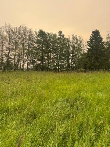 414006 Range Road 6-3, Rural Clearwater County, AB 