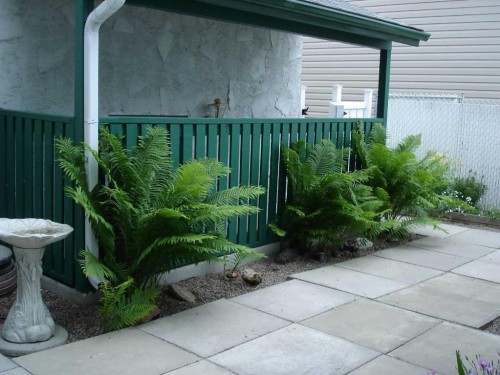 10 Patterson Crescent, Red Deer, AB - Outdoor