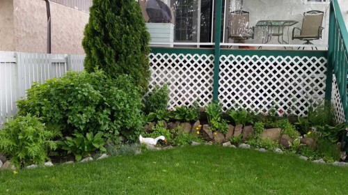 10 Patterson Crescent, Red Deer, AB - Outdoor