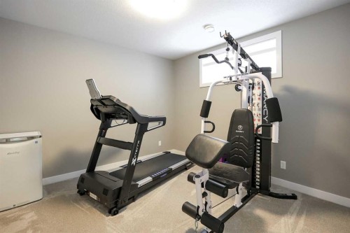 5 Trebble Close, Red Deer, AB - Indoor Photo Showing Gym Room