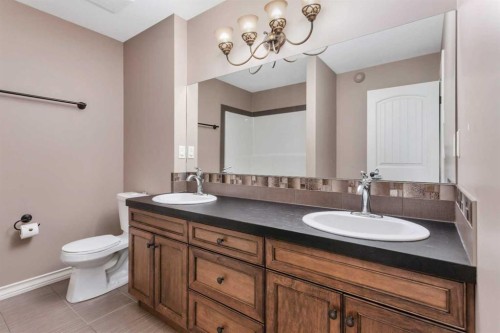 100 Van Slyke Way, Red Deer, AB - Indoor Photo Showing Bathroom