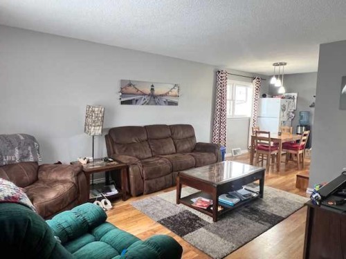 5117 49 Avenue, Forestburg, AB - Indoor Photo Showing Living Room