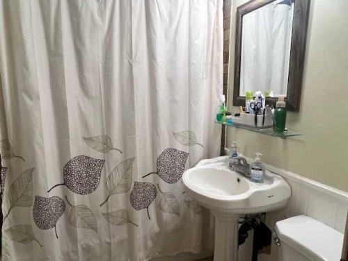 5117 49 Avenue, Forestburg, AB - Indoor Photo Showing Bathroom