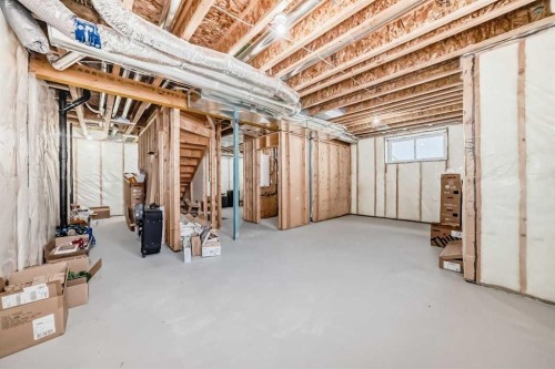 153 Emerald Drive, Red Deer, AB - Indoor Photo Showing Basement