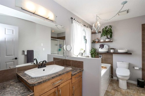 98 Pine Crescent, Blackfalds, AB - Indoor Photo Showing Bathroom
