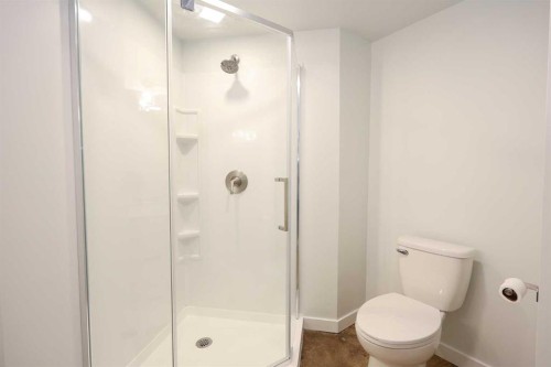 98 Pine Crescent, Blackfalds, AB - Indoor Photo Showing Bathroom