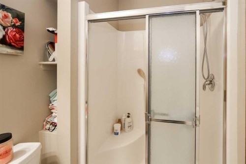 22D-32 Daines Avenue, Red Deer, AB - Indoor Photo Showing Bathroom
