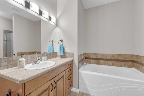 29 Emily Crescent, Lacombe, AB - Indoor Photo Showing Bathroom