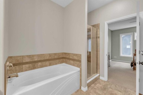 29 Emily Crescent, Lacombe, AB - Indoor Photo Showing Bathroom