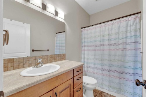 29 Emily Crescent, Lacombe, AB - Indoor Photo Showing Bathroom