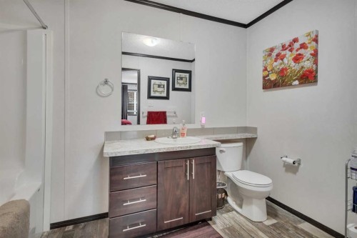 116 41310 Range, Rural Lacombe County, AB - Indoor Photo Showing Bathroom