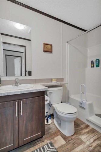 116 41310 Range, Rural Lacombe County, AB - Indoor Photo Showing Bathroom