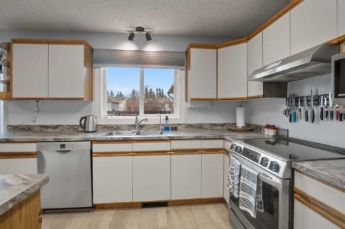 4708 55 Street, Killam, AB - Indoor Photo Showing Kitchen With Double Sink