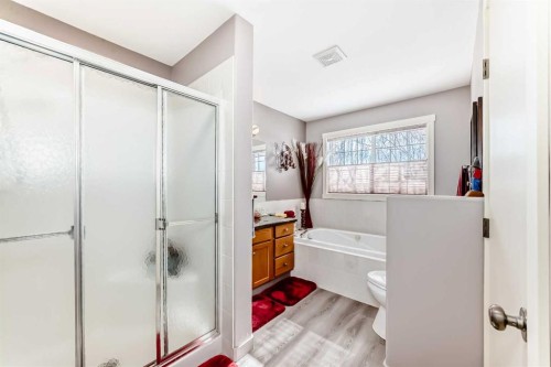 232 Deschner Close, Red Deer, AB - Indoor Photo Showing Bathroom