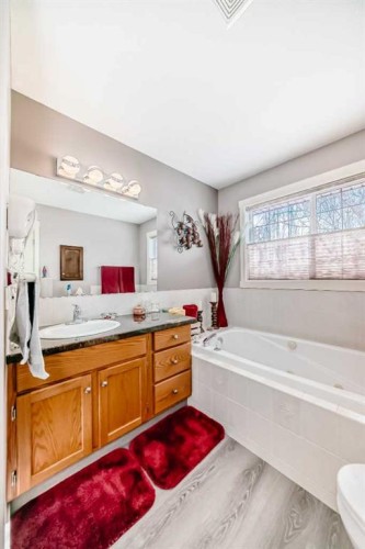 232 Deschner Close, Red Deer, AB - Indoor Photo Showing Bathroom