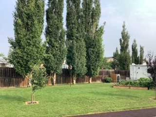 232 Deschner Close, Red Deer, AB - Outdoor