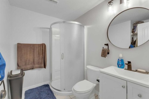 155 Inglewood Drive, Red Deer, AB - Indoor Photo Showing Bathroom