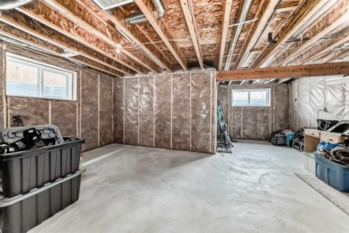 3 Hanson Green, Penhold, AB - Indoor Photo Showing Basement