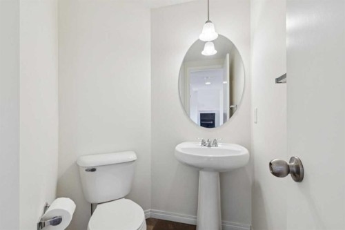 99 Auburn Bay Manor Se, Calgary, AB - Indoor Photo Showing Bathroom