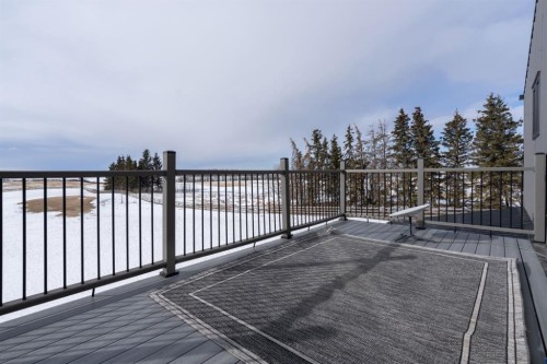 49274 Range Road 225, Rural Leduc County, AB - Outdoor