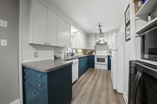 3722 44 Avenue, Red Deer, AB - Indoor Photo Showing Kitchen