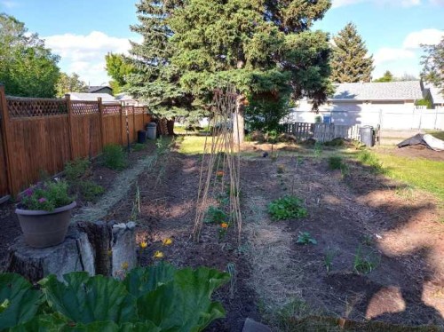 39 Norris Close, Red Deer, AB - Outdoor