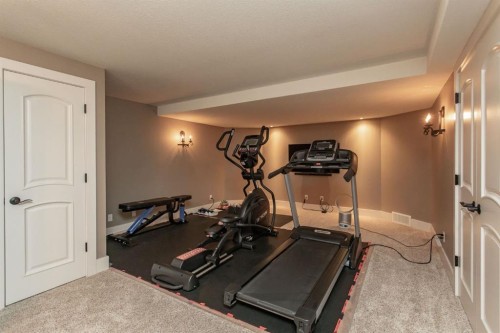 21 Dandell Close, Red Deer, AB - Indoor Photo Showing Gym Room