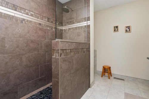 132 Edgewood Close, Camrose, AB - Indoor Photo Showing Bathroom