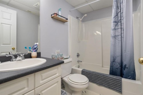132 Edgewood Close, Camrose, AB - Indoor Photo Showing Bathroom