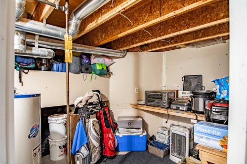 22 Doan Avenue, Red Deer, AB - Indoor Photo Showing Basement