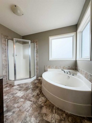 200051 32-0 Township, Morrin, AB - Indoor Photo Showing Bathroom