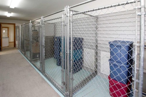 37466 Range Road 263, Rural Red Deer County, AB - Indoor