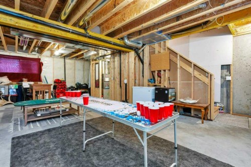 49 Evergreen Way, Red Deer, AB - Indoor Photo Showing Basement
