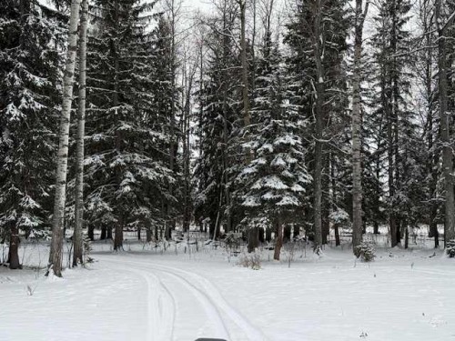Rr 55, Rural Clearwater County, AB 