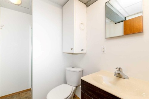 17 George Crescent, Red Deer, AB - Indoor Photo Showing Bathroom