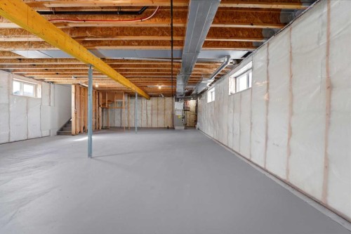 4240 Bauman Way, Innisfail, AB - Indoor Photo Showing Basement