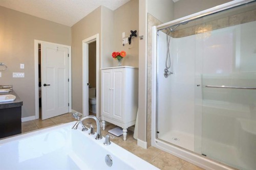146 Sutherland Close, Red Deer, AB - Indoor Photo Showing Bathroom