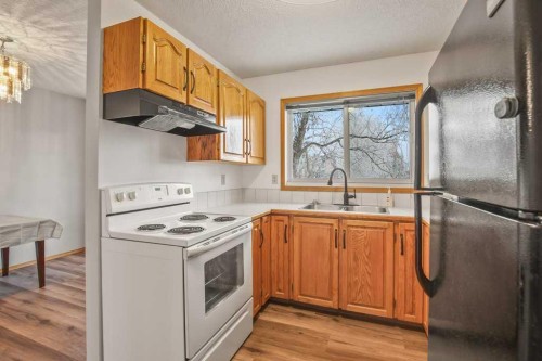 4721 46 Street, Sylvan Lake, AB - Indoor Photo Showing Kitchen With Double Sink