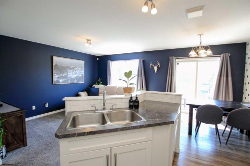 60 Arnold Close, Red Deer, AB - Indoor Photo Showing Kitchen With Double Sink
