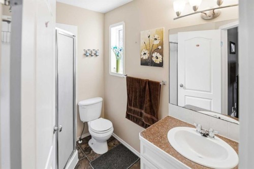 66 Jack Crescent, Red Deer, AB - Indoor Photo Showing Bathroom