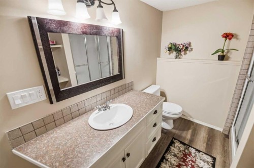 66 Jack Crescent, Red Deer, AB - Indoor Photo Showing Bathroom
