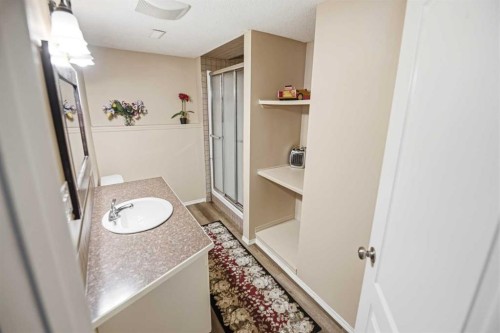 66 Jack Crescent, Red Deer, AB - Indoor Photo Showing Bathroom