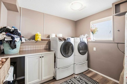 66 Jack Crescent, Red Deer, AB - Indoor Photo Showing Laundry Room