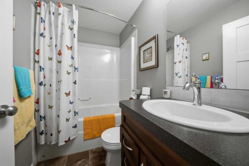 146 Truant Crescent, Red Deer, AB - Indoor Photo Showing Bathroom