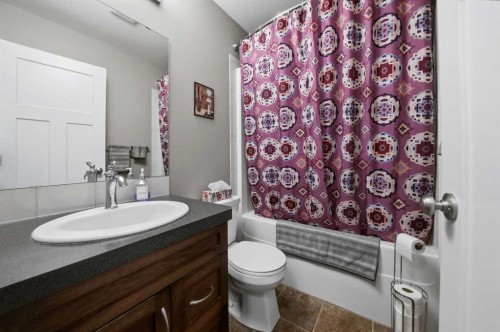 146 Truant Crescent, Red Deer, AB - Indoor Photo Showing Bathroom