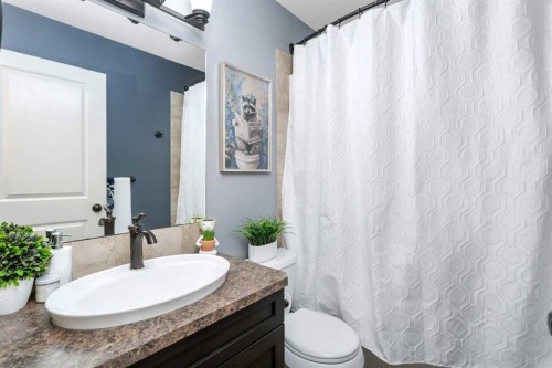 356 Kingston Drive, Red Deer, AB - Indoor Photo Showing Bathroom